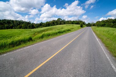Tepe yaz günü mavi gökyüzünde üzerinde beyaz bulutlar altında yeşil çim sahası üzerinden karayolu yol. Yol yolculuk seyahat konsepti.