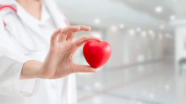 Doctor Holding Red Heart Hospital Office Medical Health Care Doctor — Stock Photo, Image