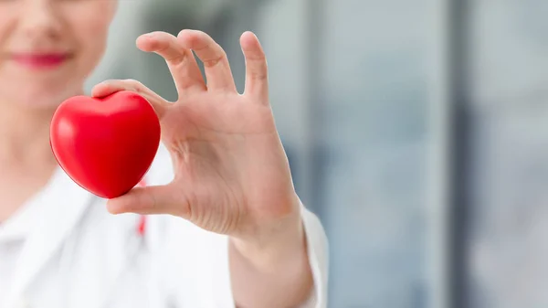 Lekarz Trzymając Czerwone Serce Siedzibie Szpitala Medyczną Koncepcję Usługi Personelu — Zdjęcie stockowe