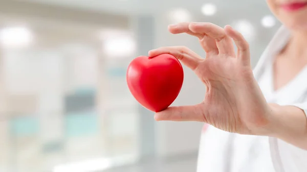 Doctor Holding Red Heart Hospital Office Medical Health Care Doctor — Stock Photo, Image