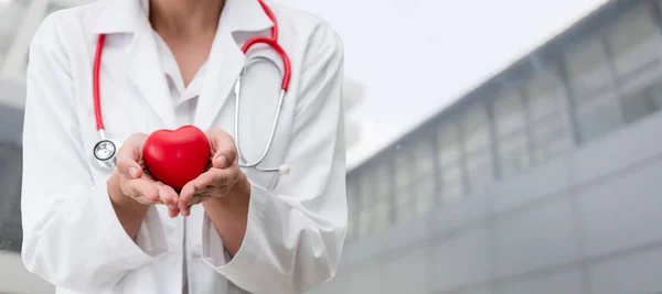 Doctor Sosteniendo Corazón Rojo Oficina Del Hospital Concepto Servicio Atención — Foto de Stock