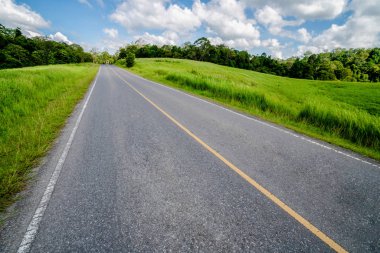 Tepe yaz günü mavi gökyüzünde üzerinde beyaz bulutlar altında yeşil çim sahası üzerinden karayolu yol. Yol yolculuk seyahat konsepti.