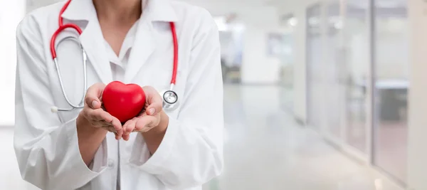 Doctor Sosteniendo Corazón Rojo Oficina Del Hospital Concepto Servicio Atención —  Fotos de Stock