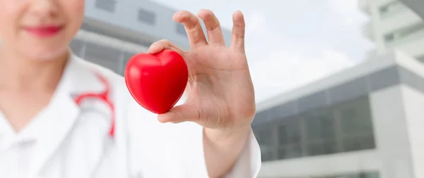 Doctor Holding Red Heart Hospital Office Medical Health Care Doctor — Stock Photo, Image