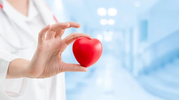 Доктор Держит Красное Сердце Больничном Кабинете Концепция Медицинского Обслуживания Обслуживания — стоковое фото