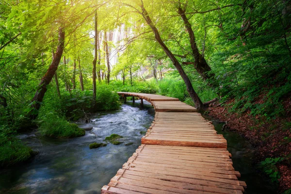 Schöner Holzpfad Für Naturtrekking Mit Seen Und Wasserfalllandschaft Nationalpark Plitvicer — Stockfoto