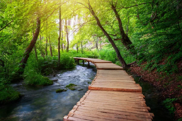 Beautiful wooden path trail for nature trekking with lakes and waterfall landscape in Plitvice Lakes National Park, UNESCO natural world heritage and famous travel destination of Croatia.