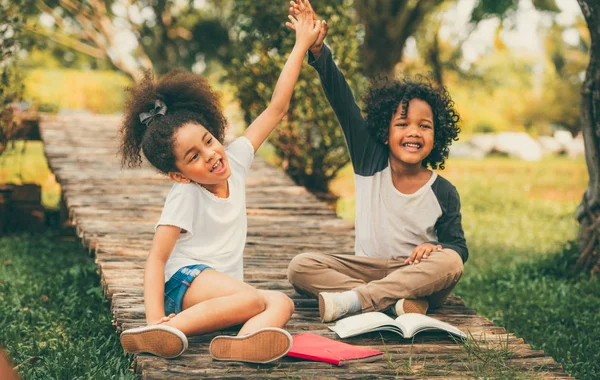 Feliz Niño Niña Parque Dos Niños Afroamericanos Juntos Jardín —  Fotos de Stock