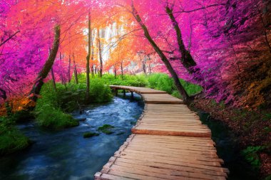 Güzel ahşap yol iz göller ve şelale peyzaj Plitvice Gölleri Milli Parkı, ile Unesco Dünya Mirası ve Hırvatistan'ın ünlü seyahat hedef trekking doğa için.