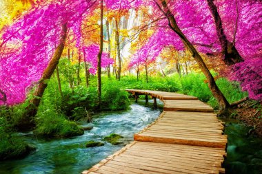 Güzel ahşap yol iz göller ve şelale peyzaj Plitvice Gölleri Milli Parkı, ile Unesco Dünya Mirası ve Hırvatistan'ın ünlü seyahat hedef trekking doğa için.