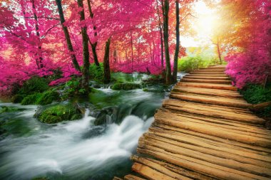 Güzel ahşap yol iz göller ve şelale peyzaj Plitvice Gölleri Milli Parkı, ile Unesco Dünya Mirası ve Hırvatistan'ın ünlü seyahat hedef trekking doğa için.