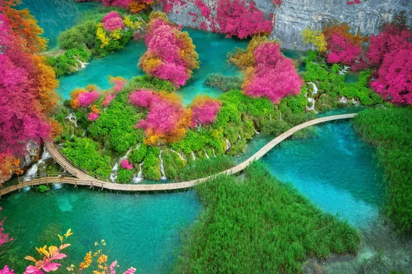 Beautiful Wooden Path Trail Nature Trekking Lakes Waterfall Landscape Plitvice — Stock Photo, Image