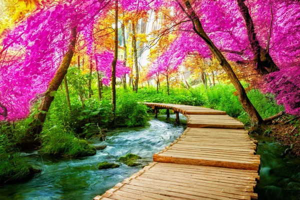 Beautiful Wooden Path Trail Nature Trekking Lakes Waterfall Landscape Plitvice — Stock Photo, Image