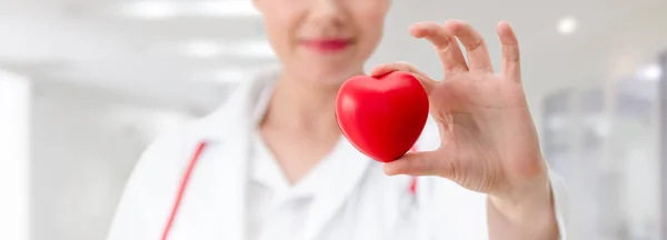 Doctor Holding Red Heart Hospital Office Medical Health Care Doctor — Stock Photo, Image