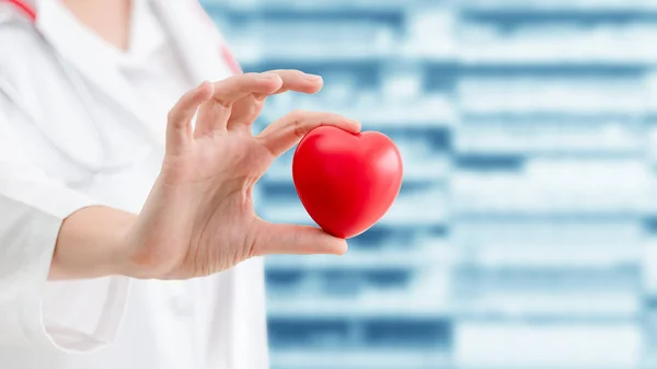 Doctor Holding Red Heart Hospital Office Medical Health Care Doctor — Stock Photo, Image