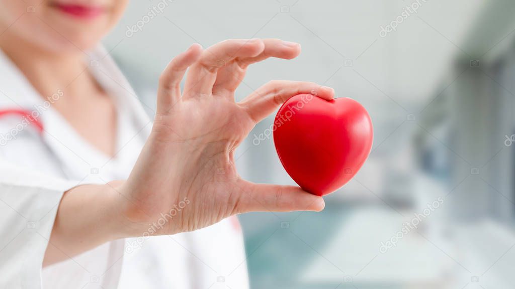 Doctor holding a red heart at hospital office. Medical health care and doctor staff service concept.