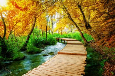 Güzel ahşap yol iz göller ve şelale peyzaj Plitvice Gölleri Milli Parkı, ile Unesco Dünya Mirası ve Hırvatistan'ın ünlü seyahat hedef trekking doğa için.