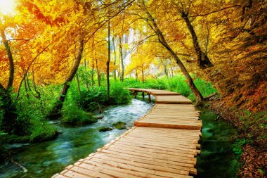 Beautiful wooden path trail for nature trekking with lakes and waterfall landscape in Plitvice Lakes National Park, UNESCO natural world heritage and famous travel destination of Croatia. clipart