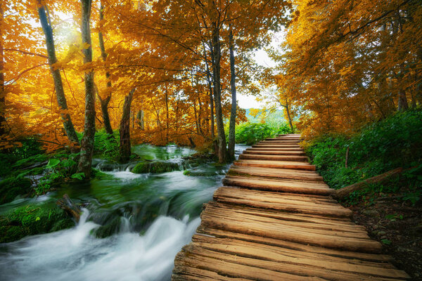 Beautiful wooden path trail for nature trekking with lakes and waterfall landscape in Plitvice Lakes National Park, UNESCO natural world heritage and famous travel destination of Croatia.