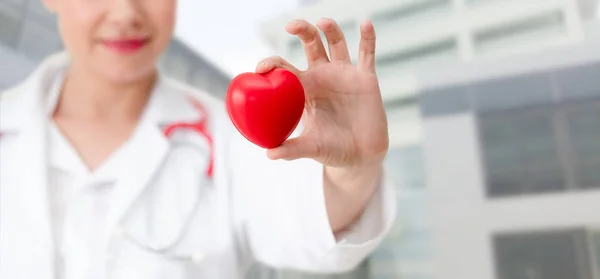 Doctor Holding Red Heart Hospital Office Medical Health Care Doctor — Stock Photo, Image