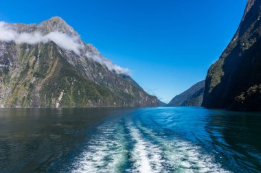 Feribot cruise Milford ses, South Island, Yeni Zelanda.