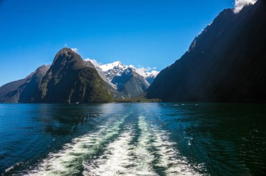 Feribot cruise Milford ses, South Island, Yeni Zelanda.