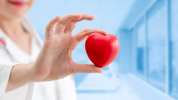 Доктор держит красное сердце в больничном офисе . — стоковое фото
