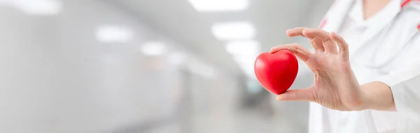 Doctor sosteniendo un corazón rojo en la oficina del hospital . — Foto de Stock