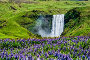 Skogafoss Şelalesi Yazın İzlanda 'da.