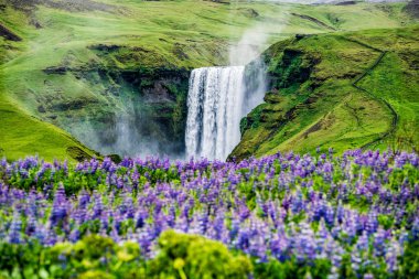 Skogafoss Şelalesi Yazın İzlanda 'da.