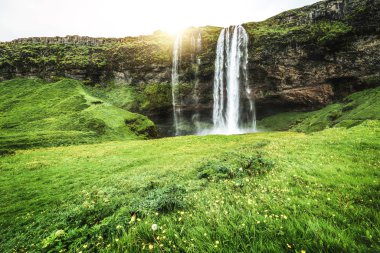 İzlanda 'da Sihirli Seljalandsfoss Şelalesi.