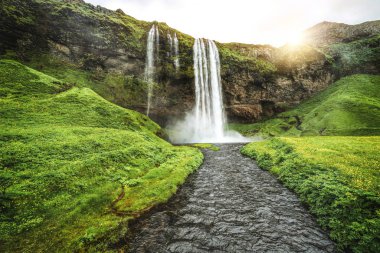 İzlanda 'da Sihirli Seljalandsfoss Şelalesi.