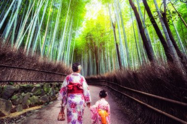 Gezgin: Bamboo Forest Grove, Kyoto, Japonya