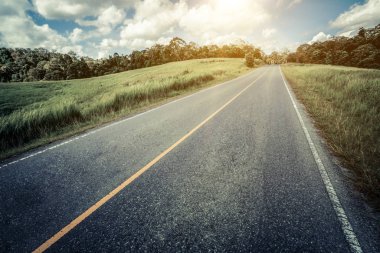 Mavi gökyüzünün altındaki yeşil çimlerin arasından geçen yol..