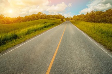 Mavi gökyüzünün altındaki yeşil çimlerin arasından geçen yol..