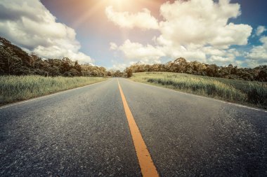 Mavi gökyüzünün altındaki yeşil çimlerin arasından geçen yol..