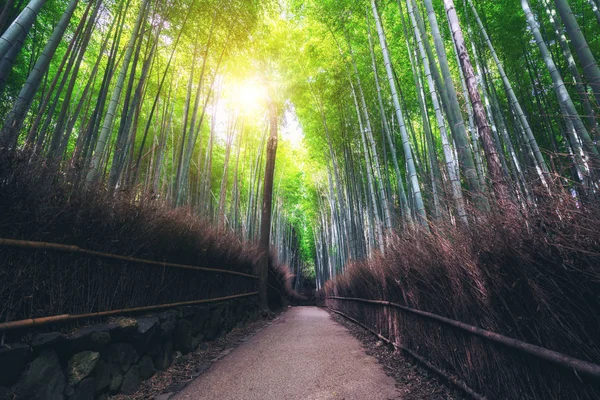 嵐山竹林名所 京都日本 — ストック写真