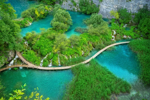 Piękna drewniana ścieżka w jeziorach Plitwickich, Chorwacja. — Zdjęcie stockowe