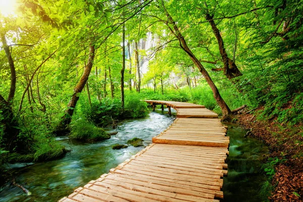 Beau sentier en bois dans le lac de Plitvice, Croatie . — Photo