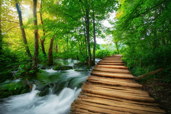 Bellissimo sentiero in legno nel lago di Plitvice, Croazia . — Foto Stock