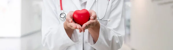 Doctor sosteniendo un corazón rojo en la oficina del hospital . — Foto de Stock