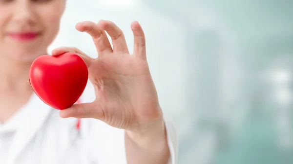 Doctor holding a red heart at hospital office. — Stock Photo, Image