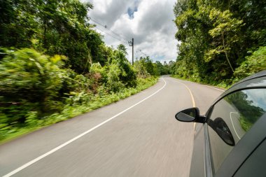 Orman karayolunda yolda araba sürme yan görünümü