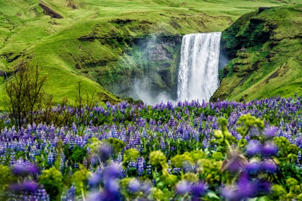 Skogafoss Καταρράκτης στην Ισλανδία το καλοκαίρι. — Φωτογραφία Αρχείου