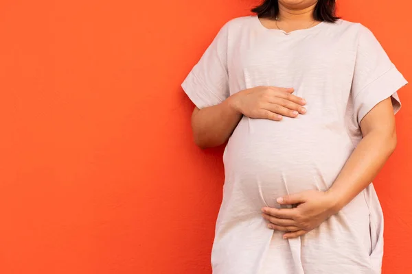 Mujer embarazada feliz y esperando un bebé en casa. — Foto de Stock