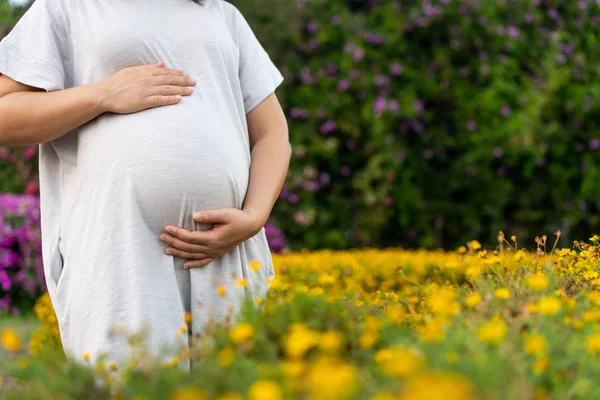 Mujer embarazada feliz y esperando un bebé en casa. — Foto de Stock