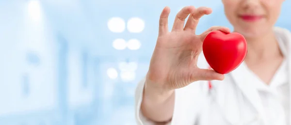 Doctor holding a red heart at hospital office. — Stock Photo, Image