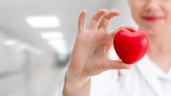 Doctor holding a red heart at hospital office. — Stock Photo, Image