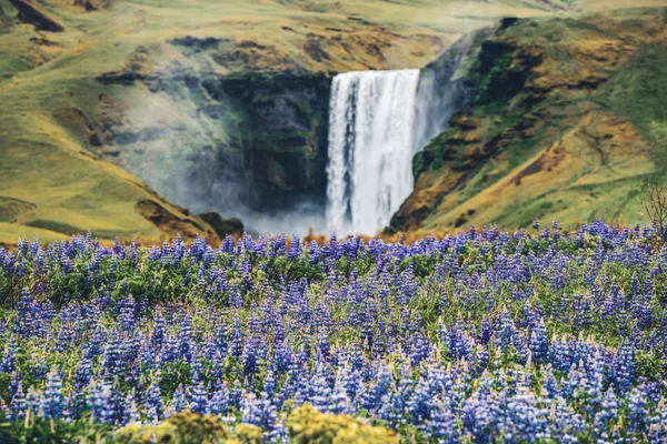 Skogafoss Wasserfall in Island im Sommer. — Stockfoto