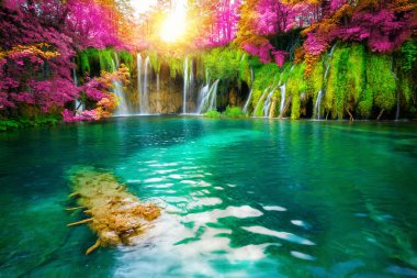 Plitvice Gölleri Hırvatistan Şelale manzara.